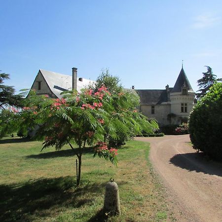 Chateau De La Roche Martel Bed and Breakfast Roiffé Exterior foto