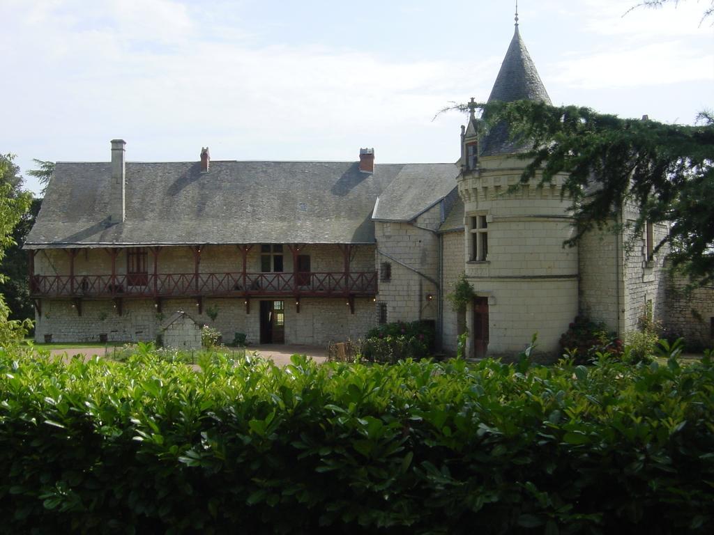 Chateau De La Roche Martel Bed and Breakfast Roiffé Exterior foto