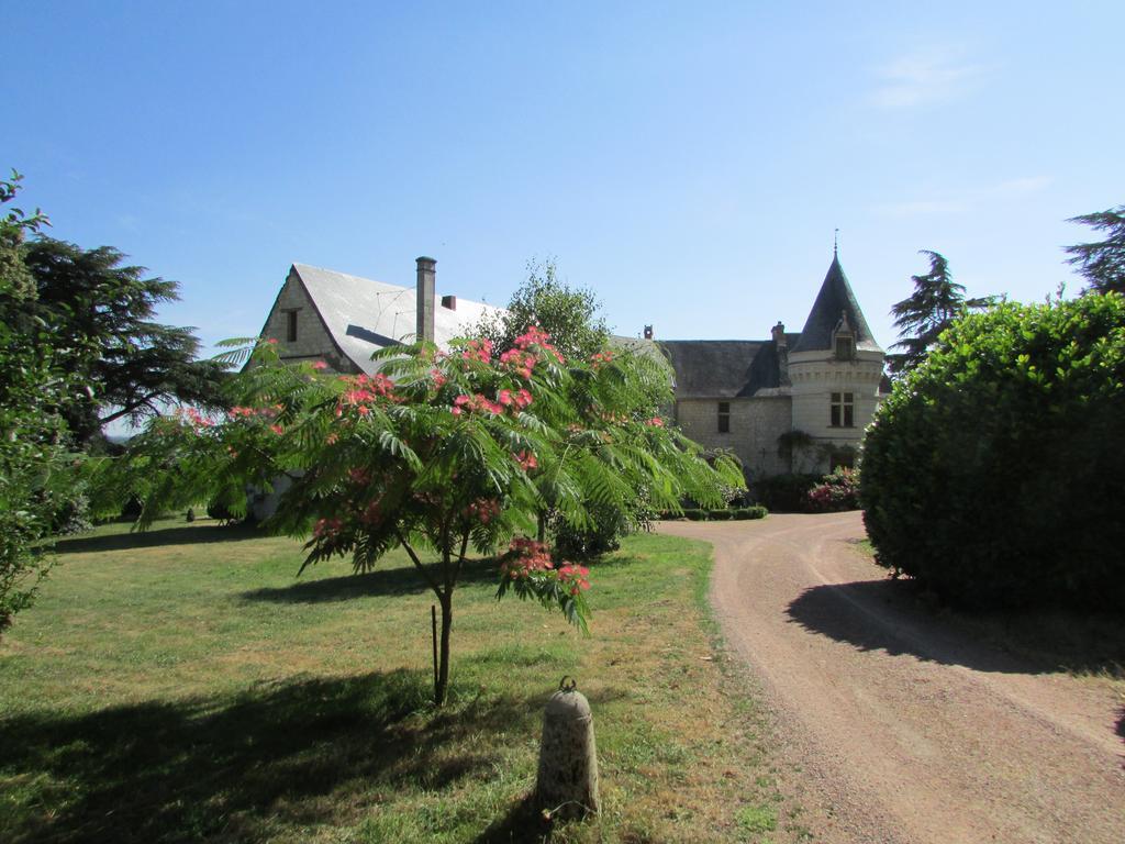 Chateau De La Roche Martel Bed and Breakfast Roiffé Exterior foto